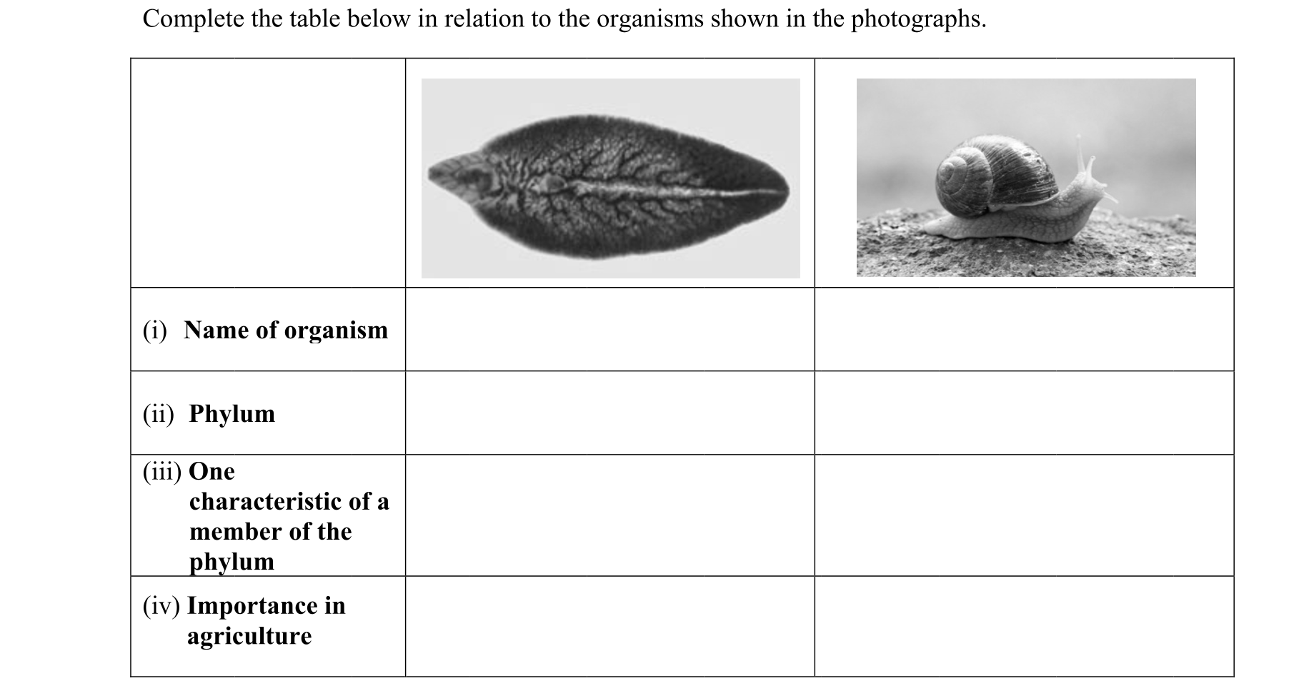 Question 692f454a-bd14-4da5-b616-e5d9b279c477