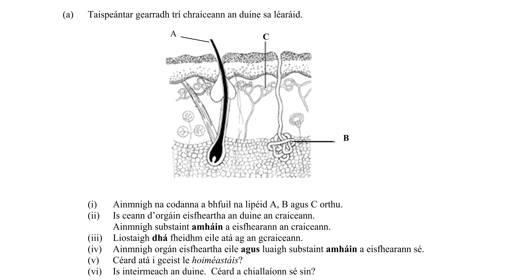 Question bfd903db-d424-44ac-8f6c-5b7e5866484f