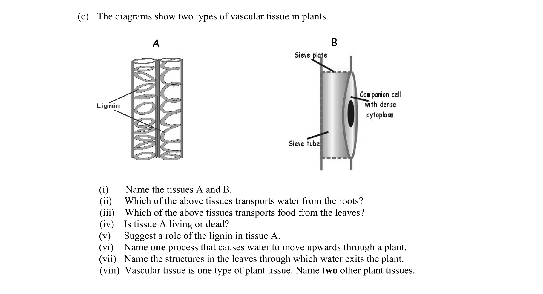 Question 7132fed6-fe3b-46b4-bd4c-6f3c884f550a