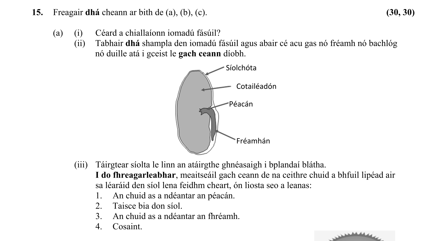 Question 23bd8434-626e-450e-aabe-5d591b08b921