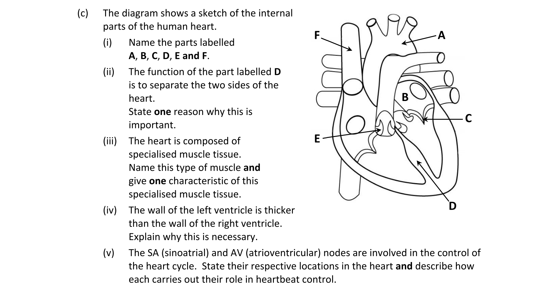 Question 92003cbb-912d-410c-92db-1a7bd222ce50