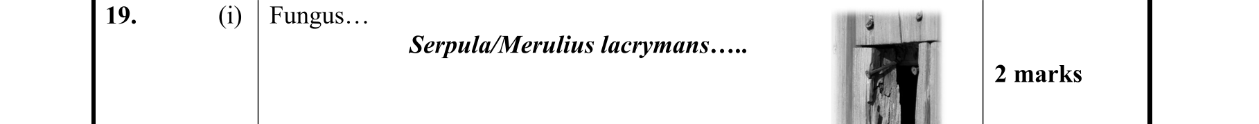 Solution for c161ef81-b640-4f7e-80a6-7cfe20aba1f9