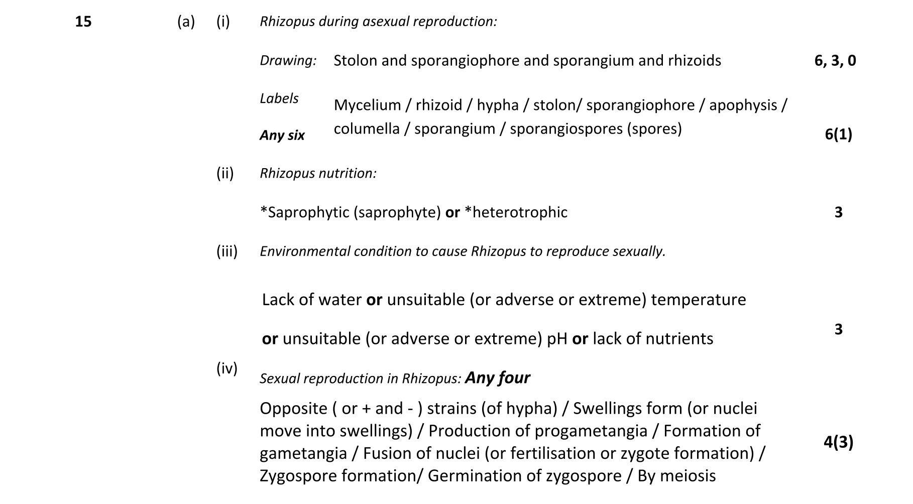 Solution for 337d7569-df8c-4f47-a356-d52ad6be5b88
