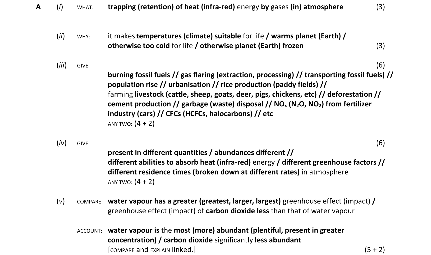 Solution for 31885df6-d36d-45f5-9a54-758a044c99ad