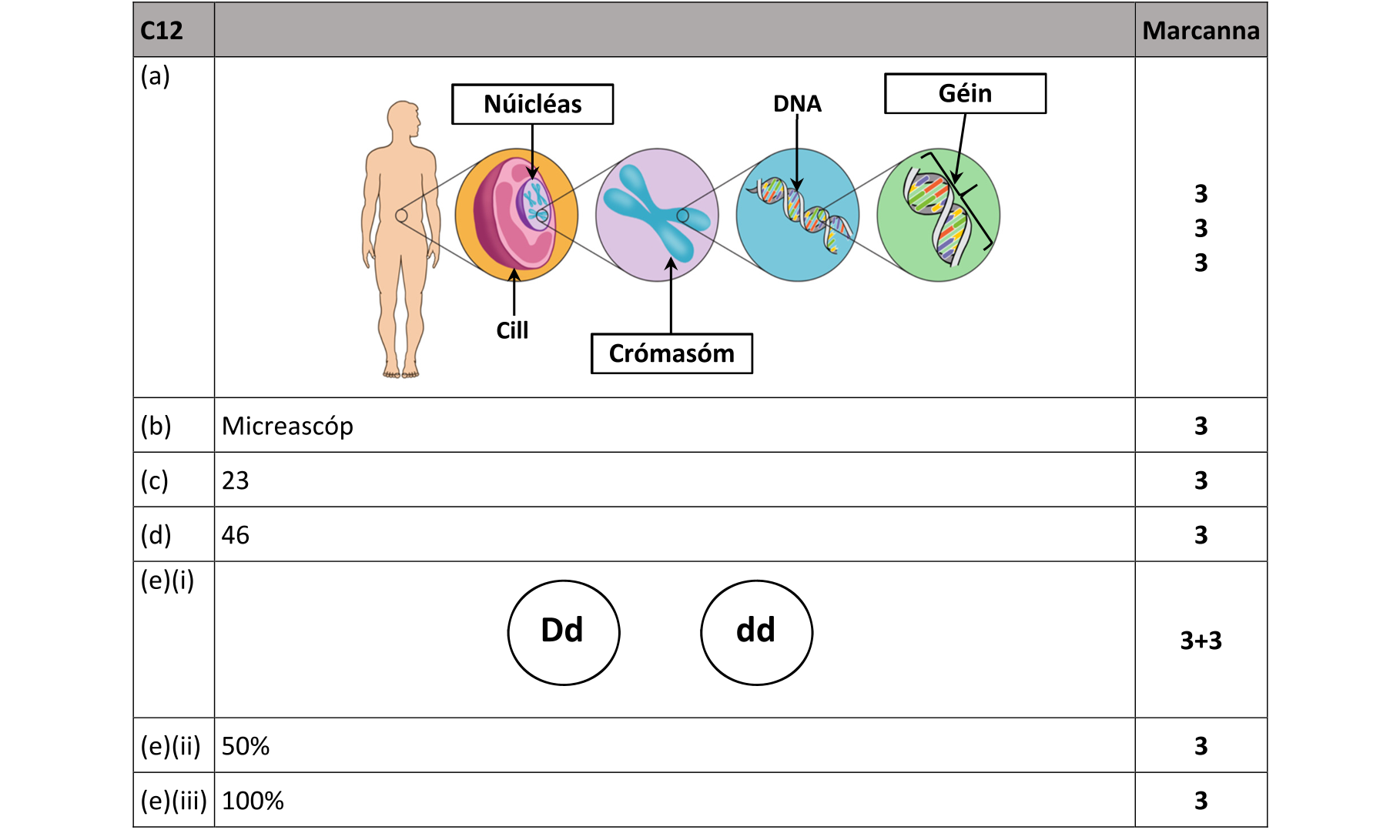 Solution for 03a772c9-4ecb-4f4f-8839-7eaf91e66a67