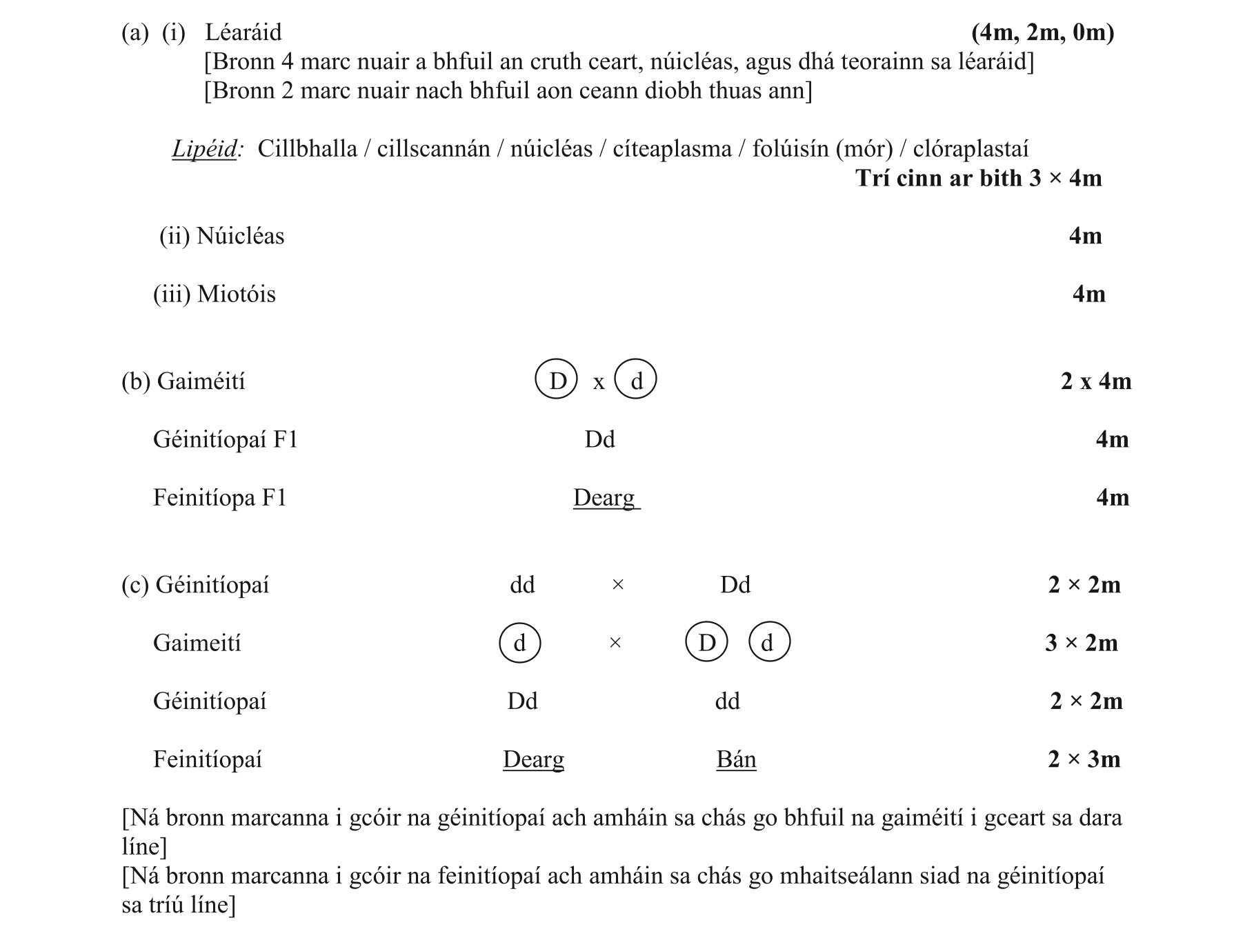 Solution for a2adb031-327a-4462-9b5c-6982eb8ebd1e
