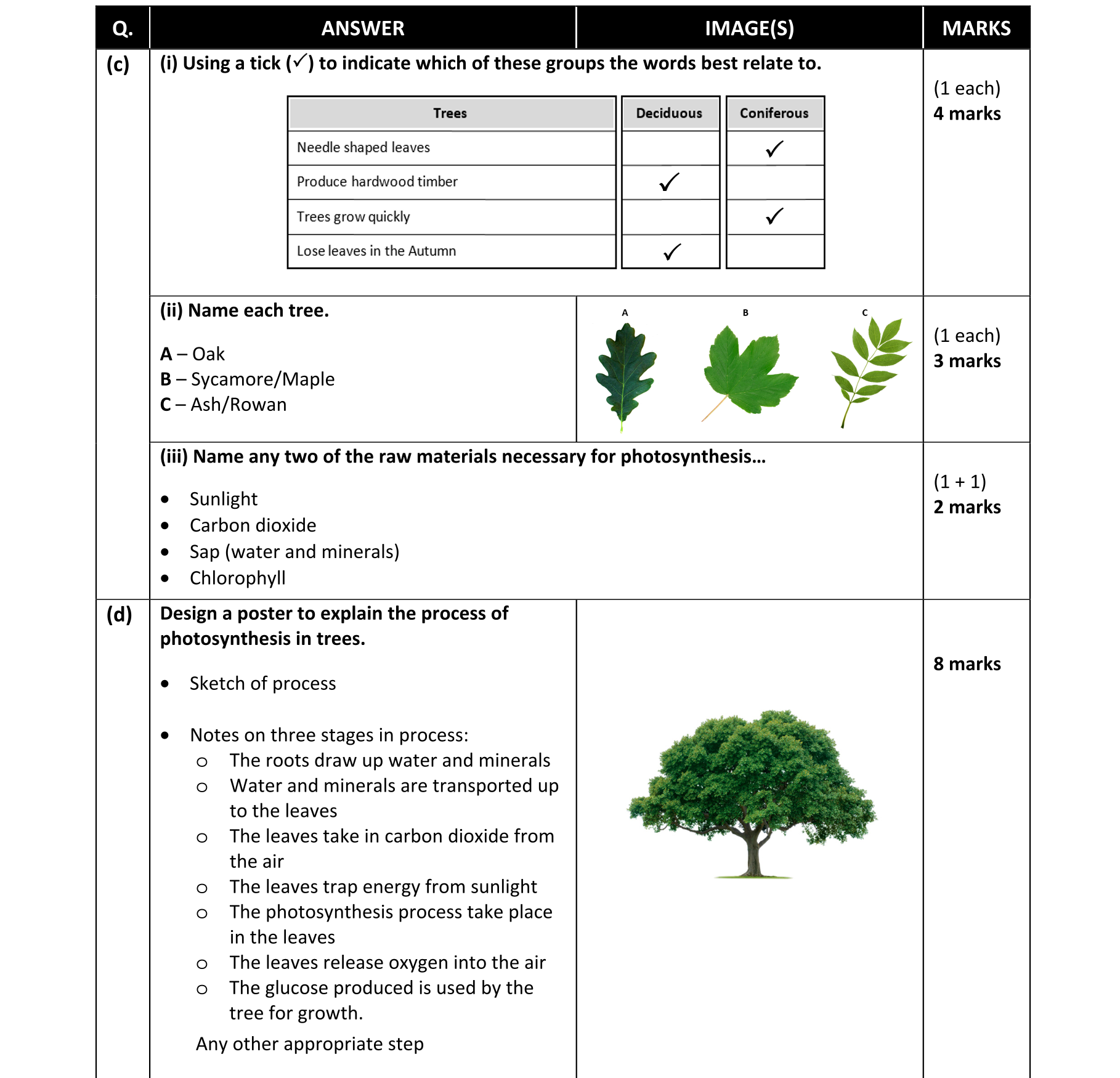 Solution for f9fe8002-e62b-45b5-b4f3-54bfb8b9f89e