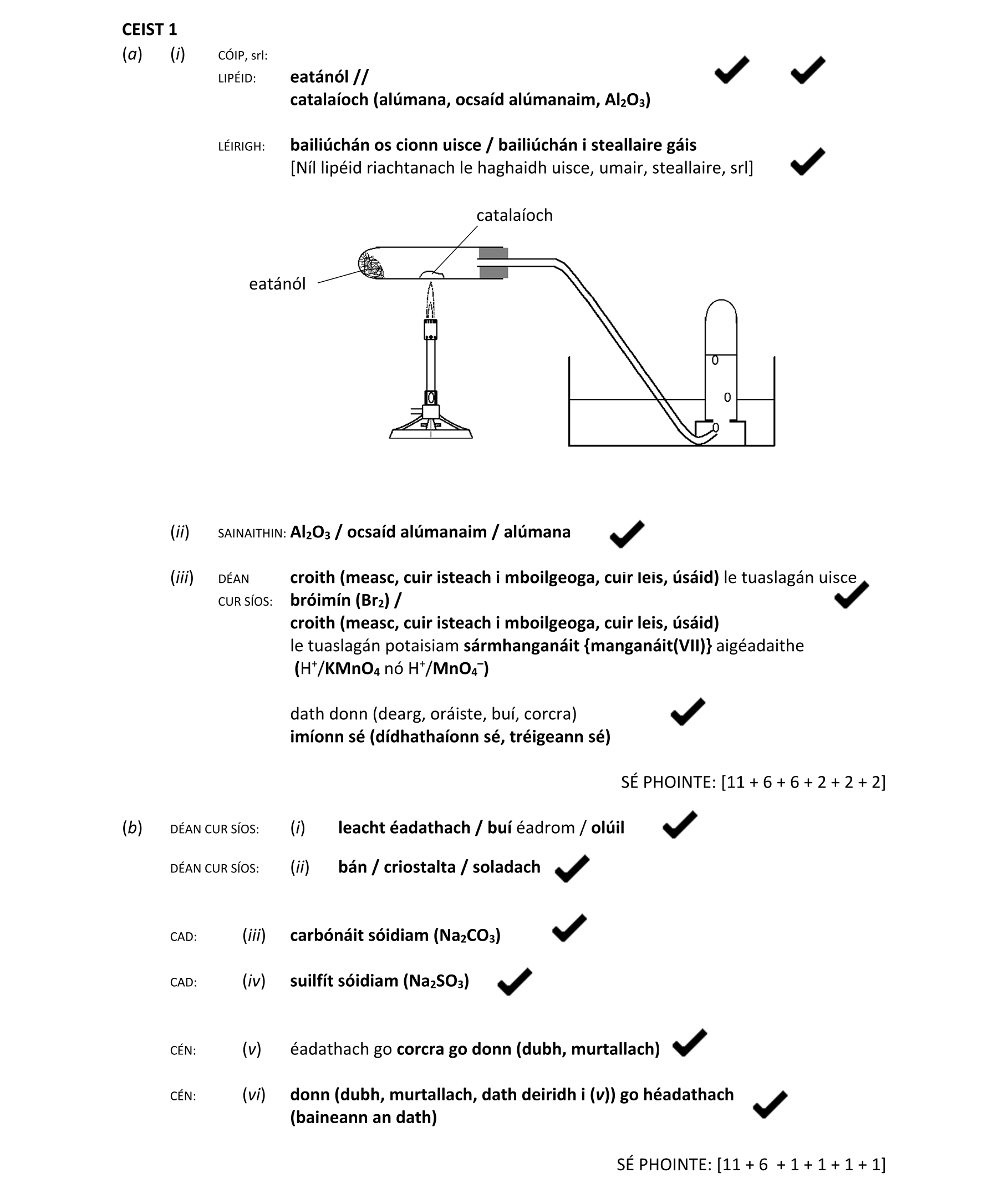 Solution for 8ec8279a-4ccd-4a08-8695-14a9a1844e09