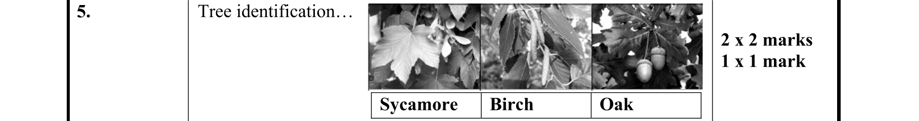 Solution for 7e5331d9-bee0-479f-9d70-a286d304812d