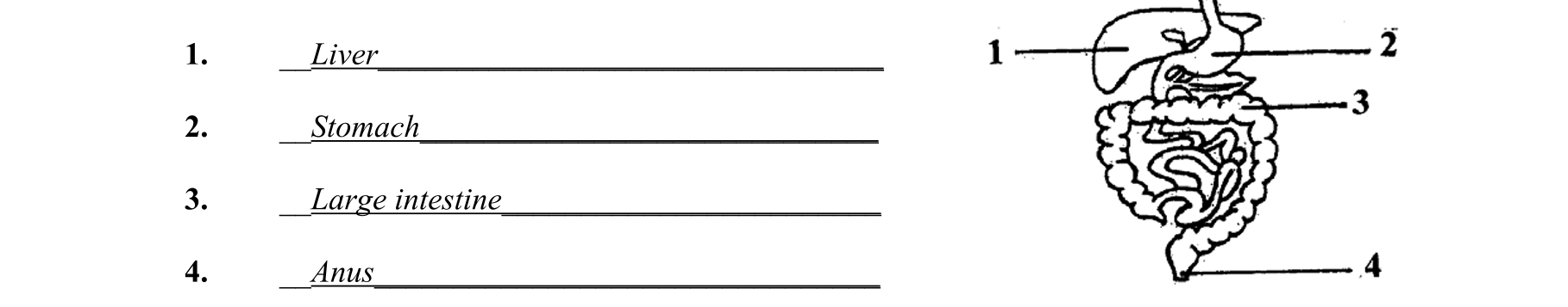 Solution for c42ac9c3-341d-4bbe-be93-773245727527