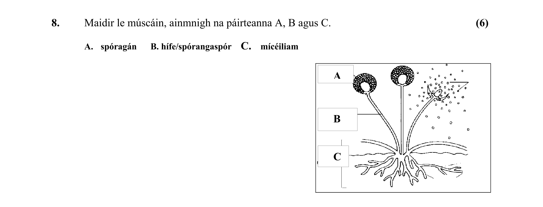 Solution for 579f8925-7687-45a2-9462-cbdf57dac44f