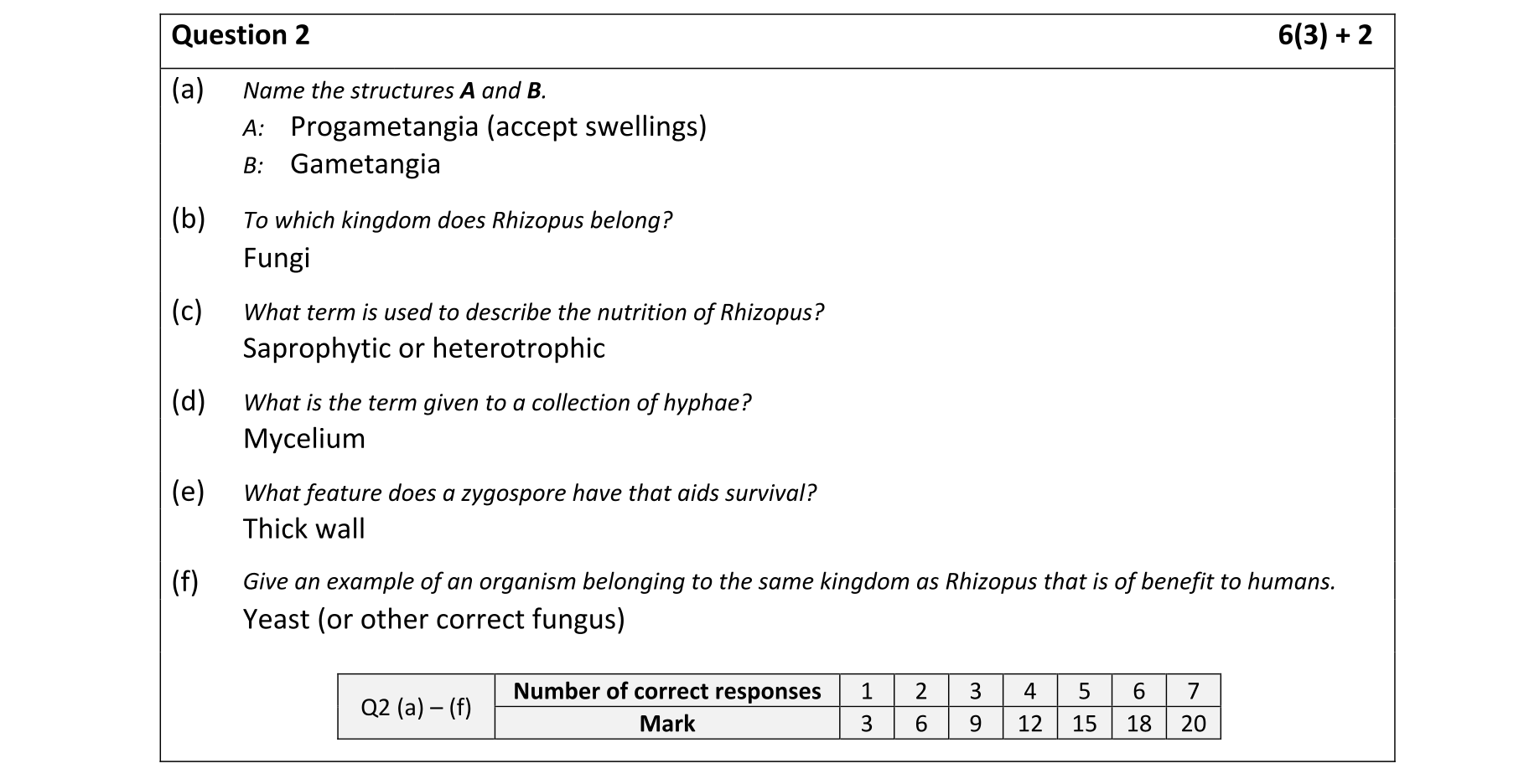 Solution for f27a552d-8ee7-44cb-a37d-6334148e6350