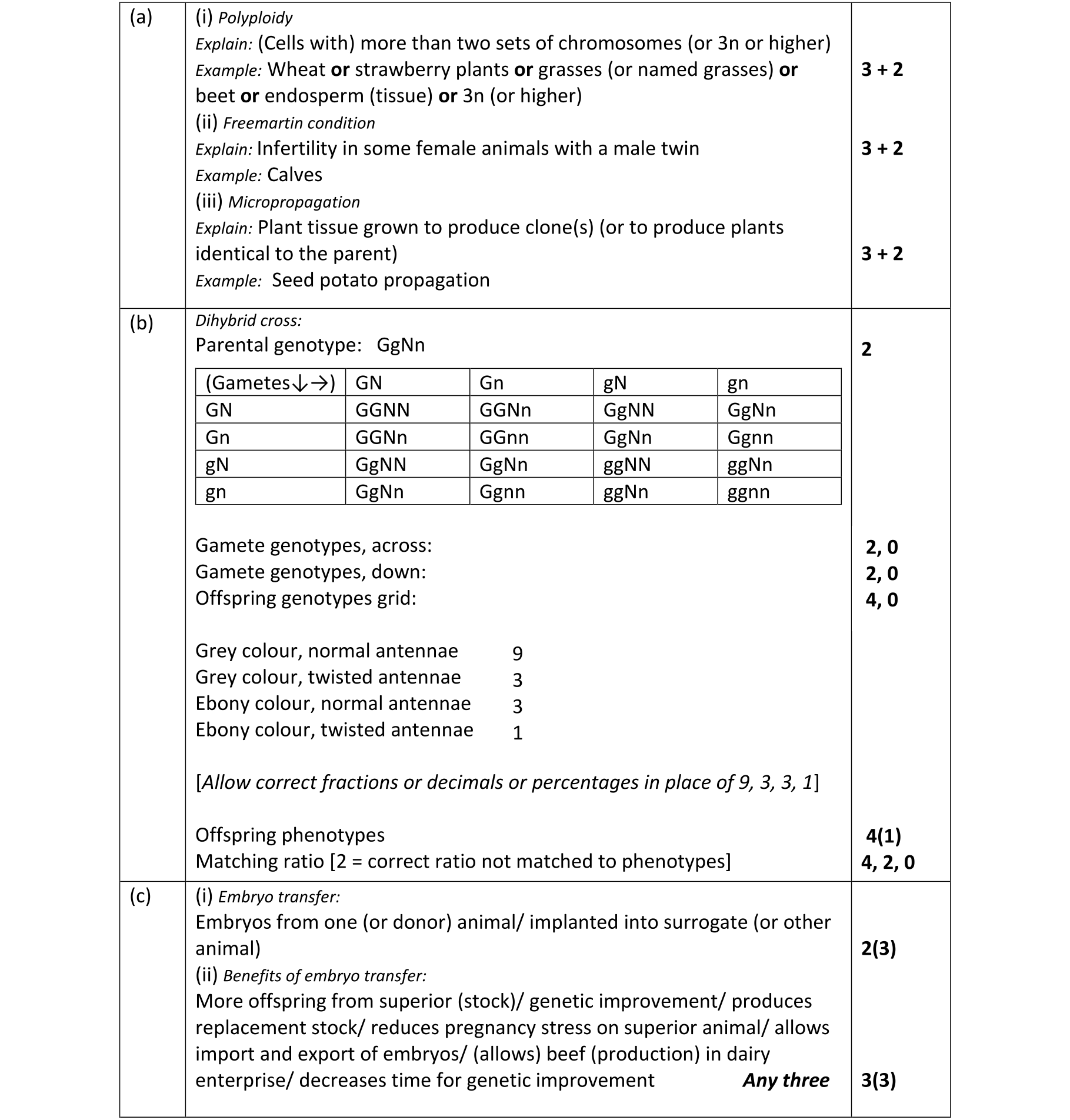 Solution for bf0ef05b-e220-4a69-b639-1743e073146e
